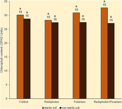 Soil Microbes Determine Outcomes of Pathogenic Interactions Between Radopholus similis and Fusarium oxysporum V5w2 in Tissue Culture Banana Rhizospheres Starved of Nitrogen, Phosphorus, and Potassium
